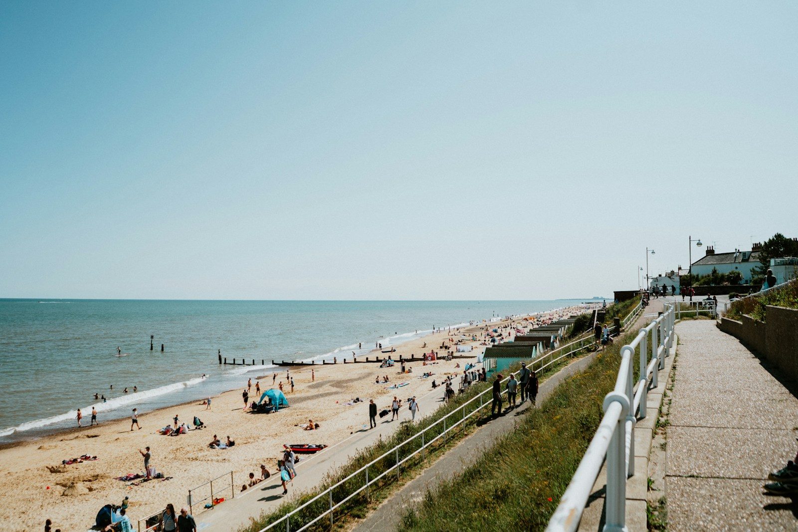 people on beach during daytime